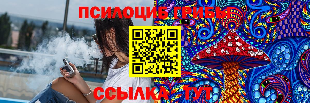 Галлюциногенные грибы Psilocybe  Вход с VPN  Биробиджан  Галлюциногенные грибы GOLDEN TEACHER 